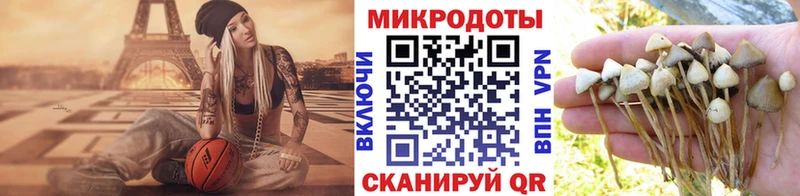 Псилоцибиновые грибы Psilocybine cubensis  Губаха 