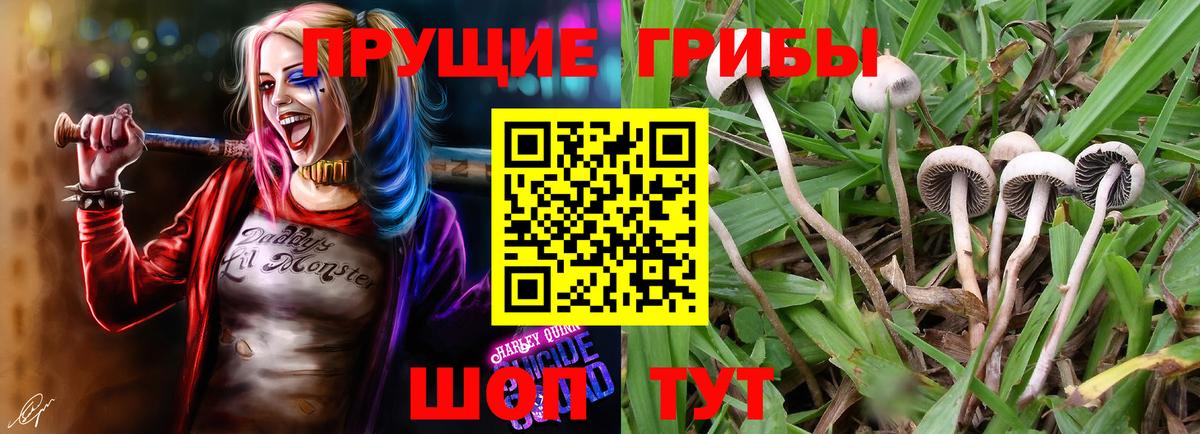 Псилоцибиновые грибы GOLDEN TEACHER  Вход с VPN  Губаха 